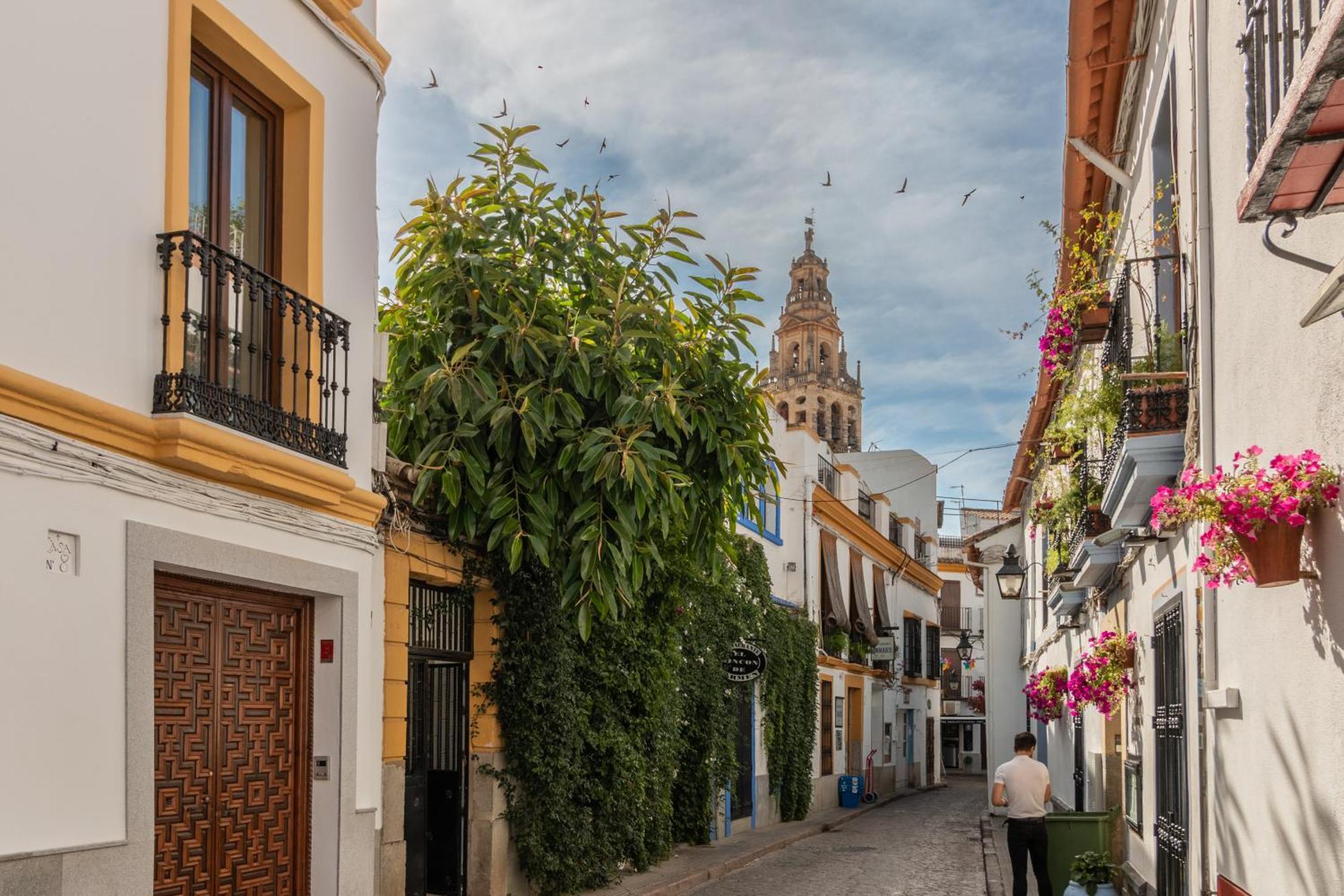 Апартаменти Luxury El Patio De La Juderia Кордова Екстер'єр фото